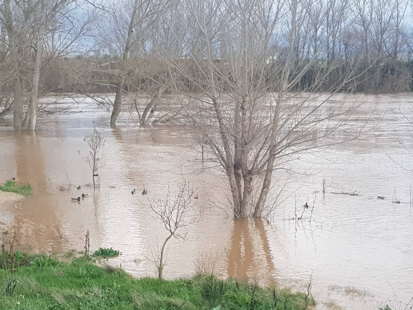 Fotos: Las consecuencias del temporal a su paso por Arroyo