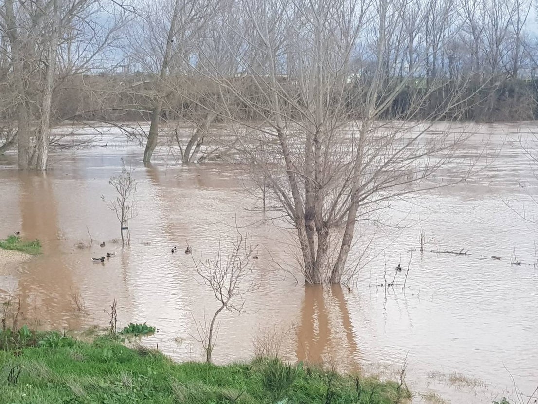Fotos: Las consecuencias del temporal a su paso por Arroyo