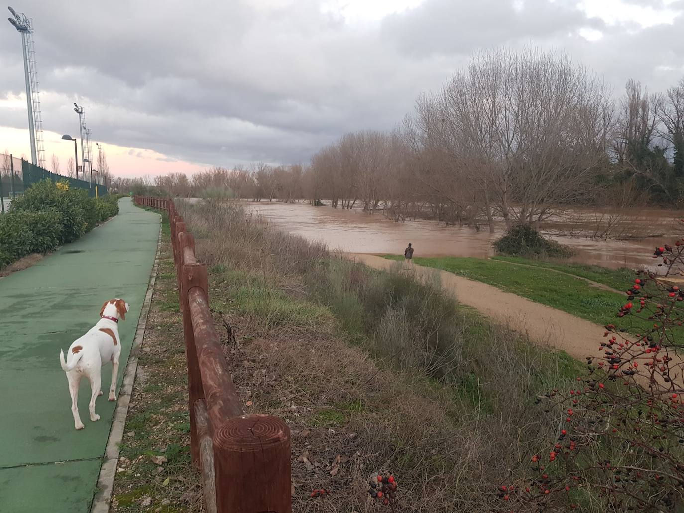 Fotos: Las consecuencias del temporal a su paso por Arroyo