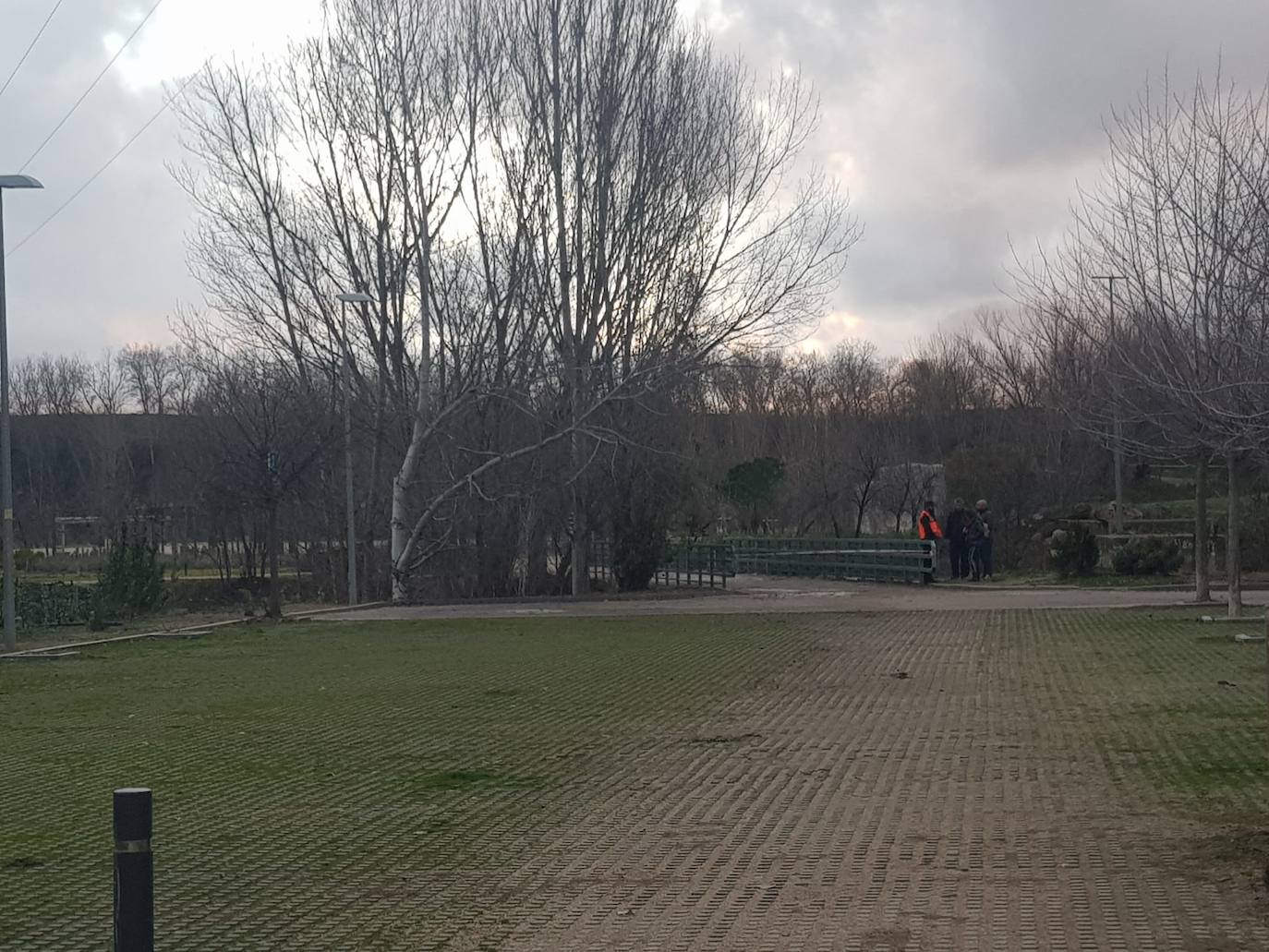 Fotos: Las consecuencias del temporal a su paso por Arroyo