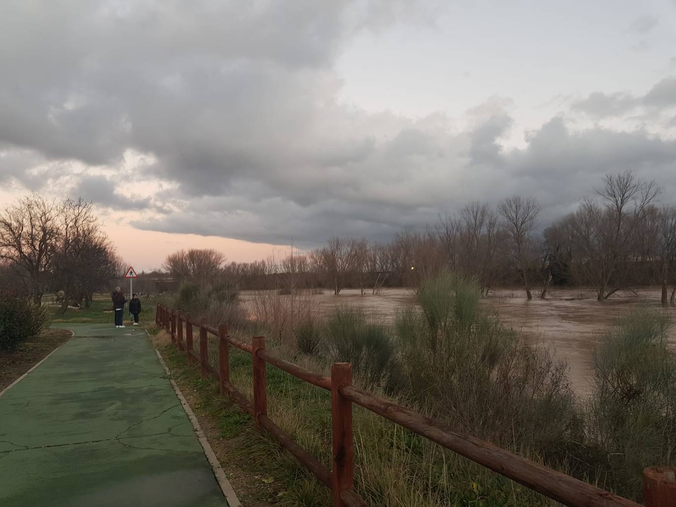 Fotos: Las consecuencias del temporal a su paso por Arroyo