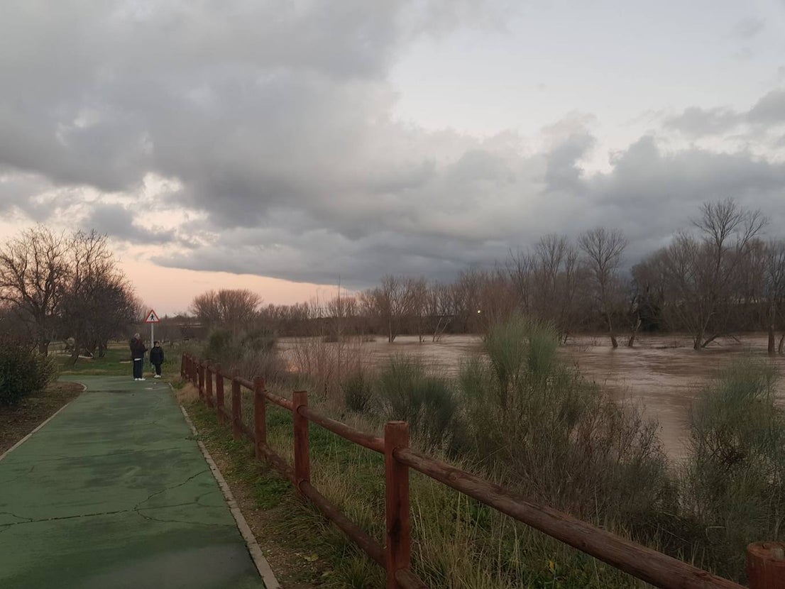Fotos: Las consecuencias del temporal a su paso por Arroyo