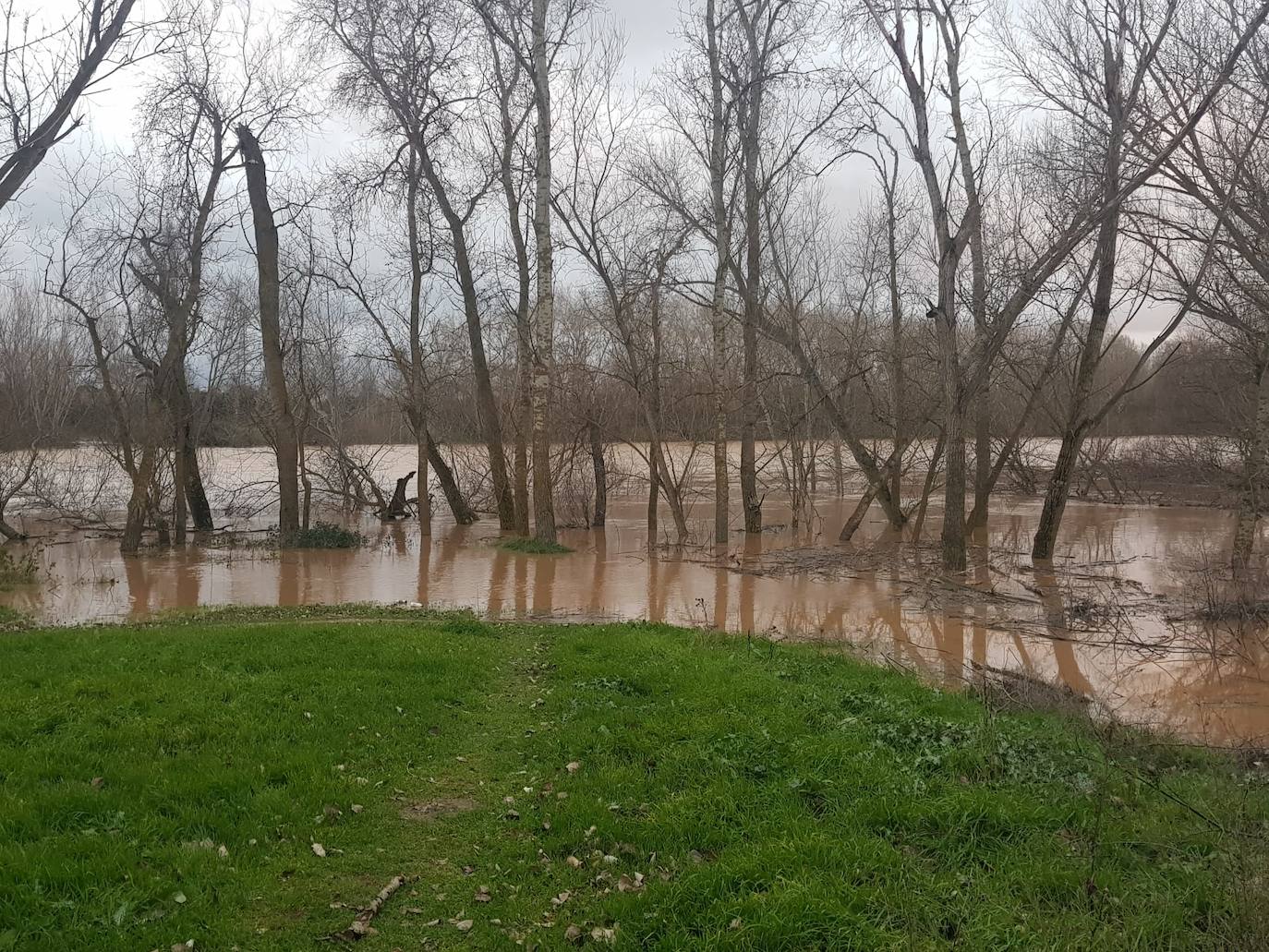 Fotos: Las consecuencias del temporal a su paso por Arroyo