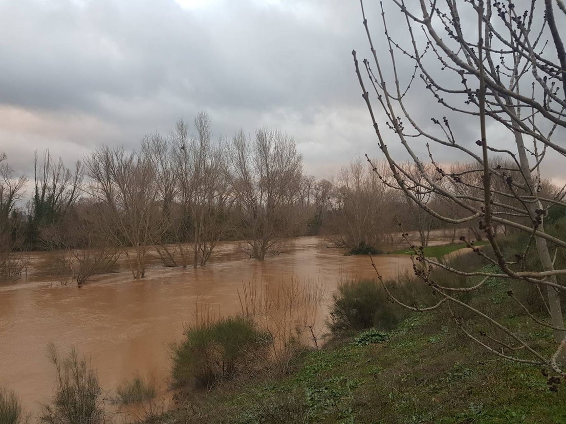 Fotos: Las consecuencias del temporal a su paso por Arroyo