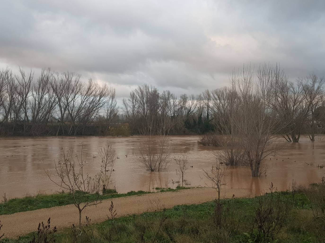 Fotos: Las consecuencias del temporal a su paso por Arroyo