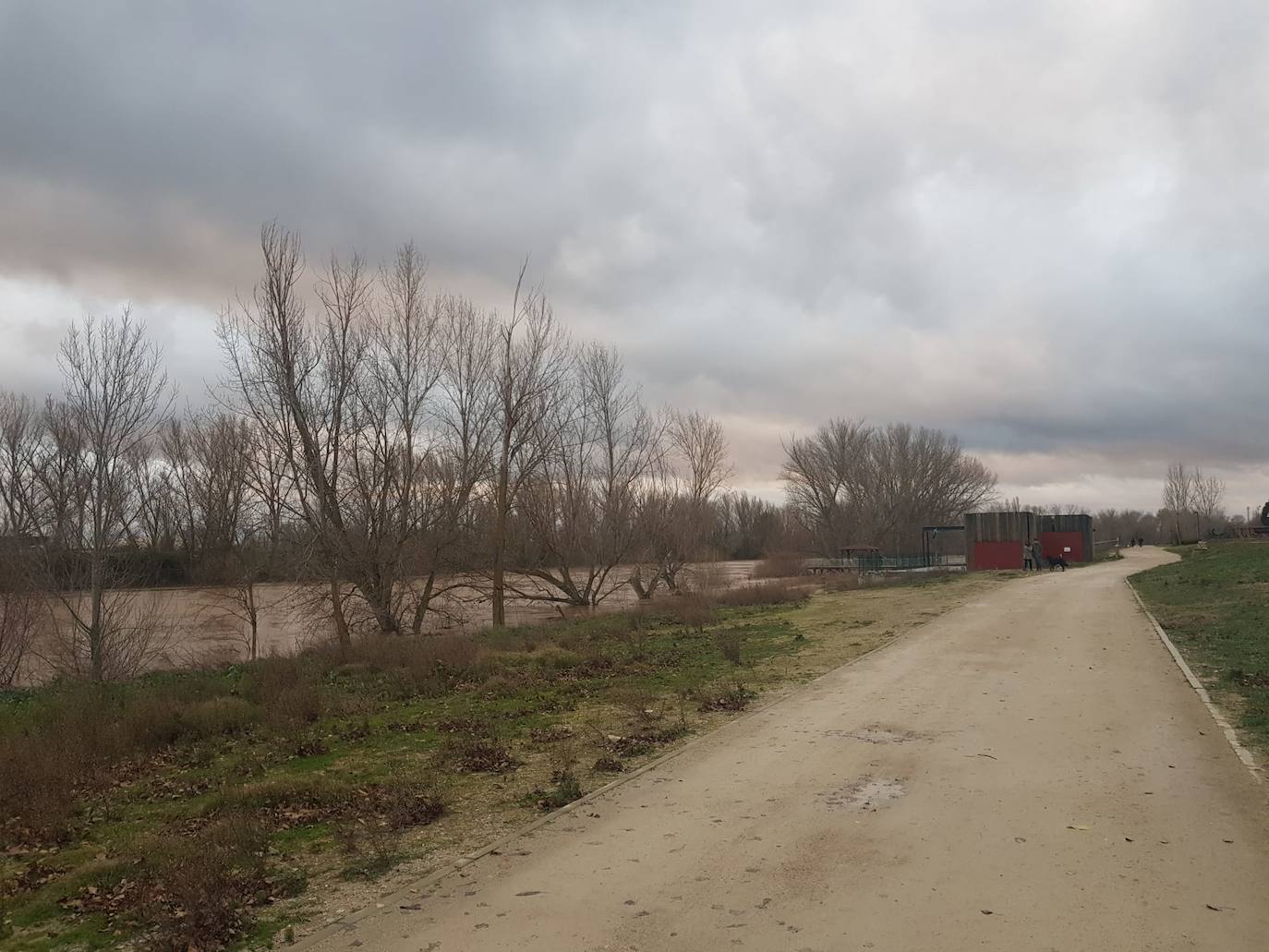 Fotos: Las consecuencias del temporal a su paso por Arroyo