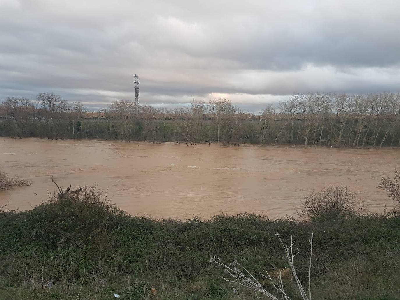 Fotos: Las consecuencias del temporal a su paso por Arroyo