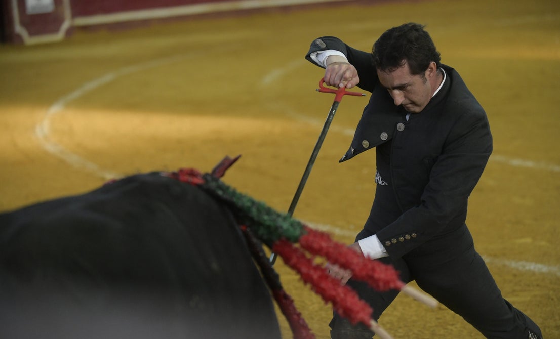Fotos: La corrida de toros de Arroyo, en imágenes
