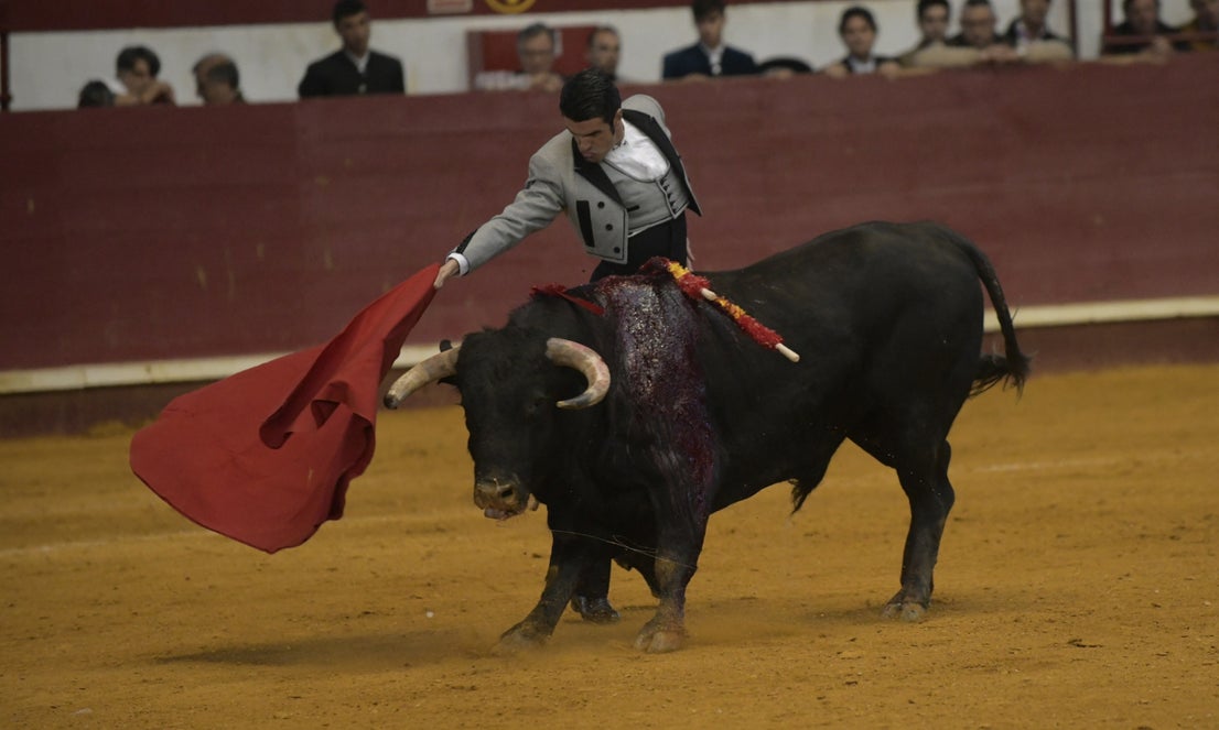 Fotos: La corrida de toros de Arroyo, en imágenes