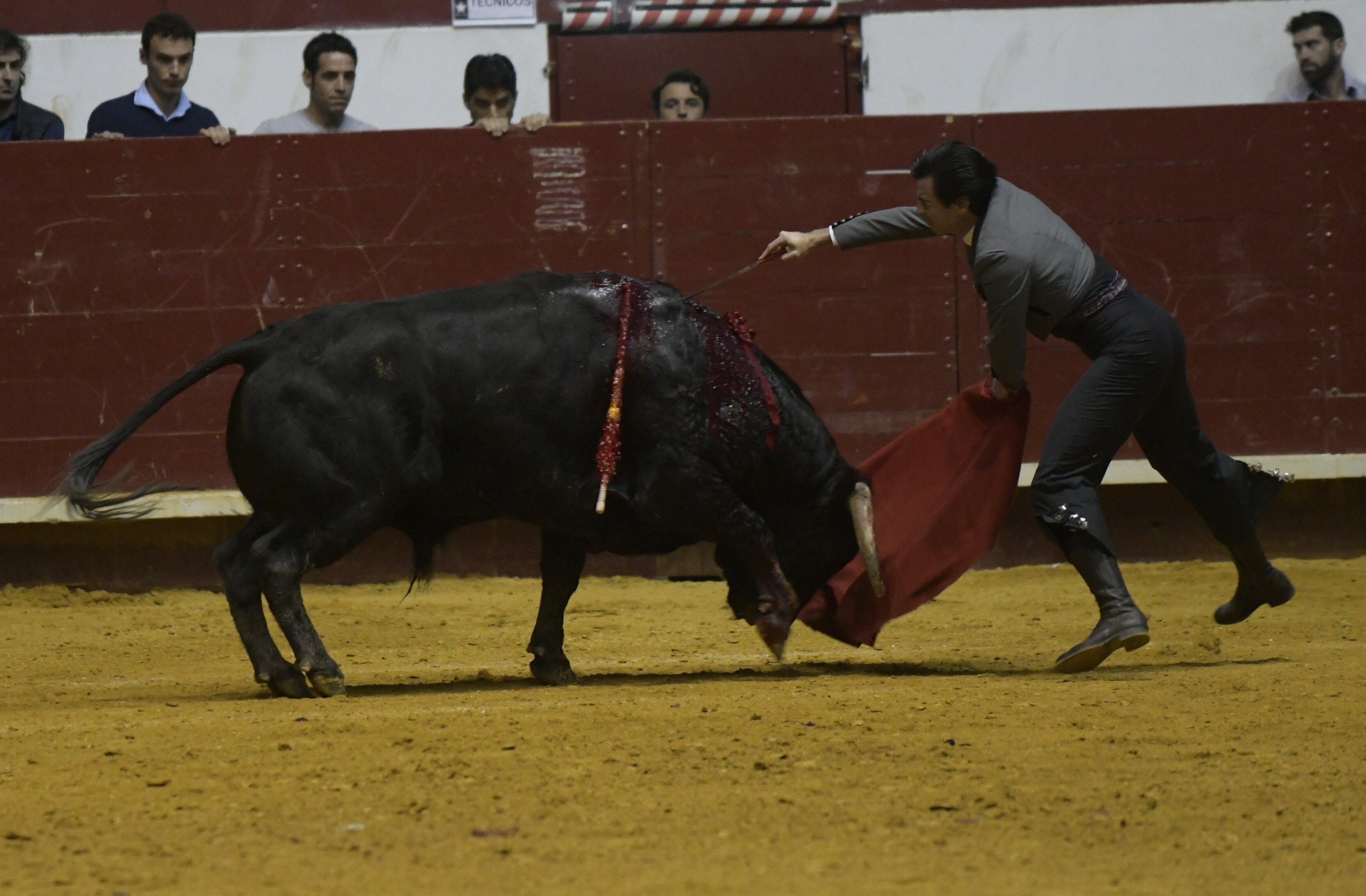 Fotos: La corrida de toros de Arroyo, en imágenes