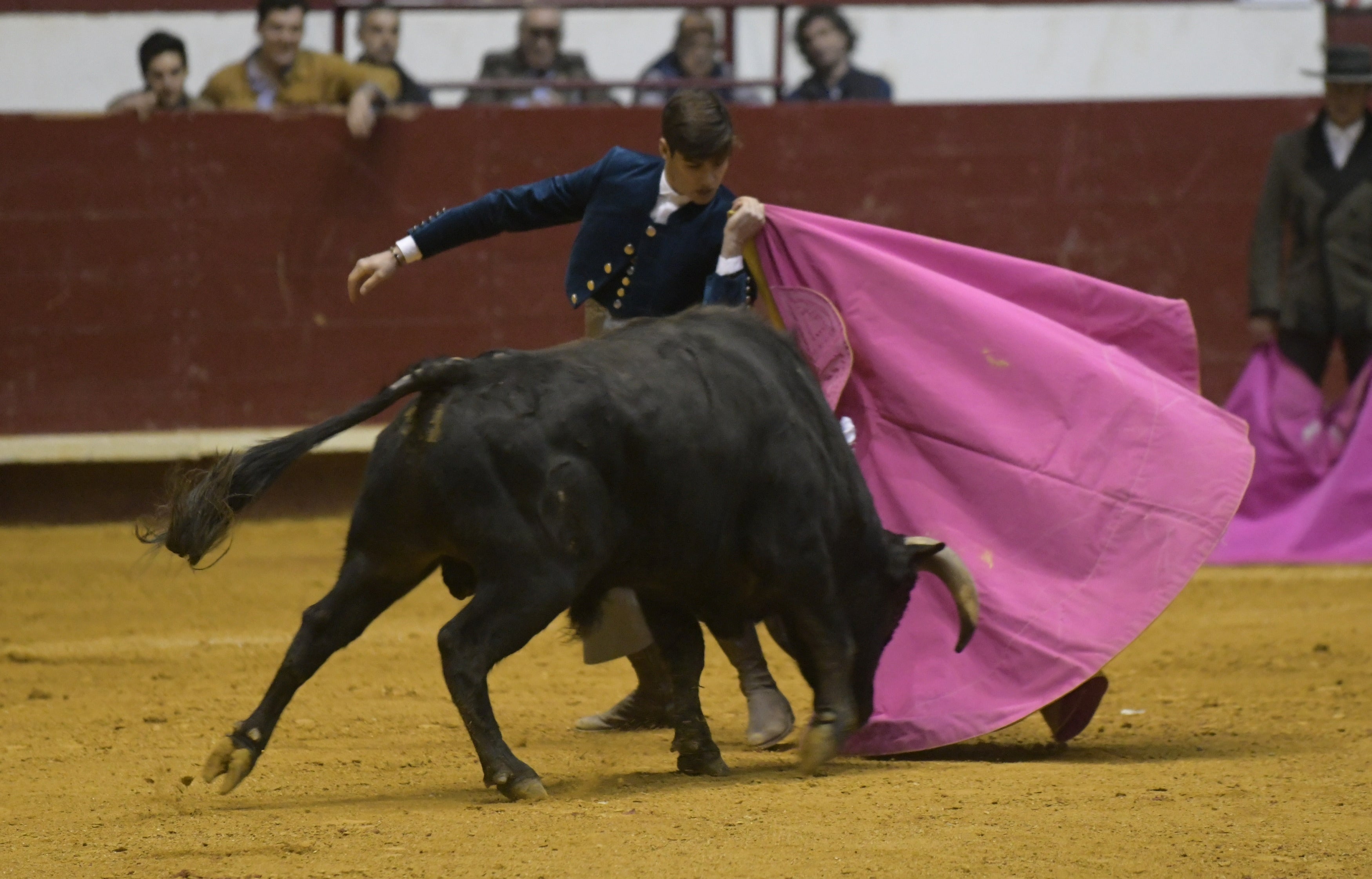 Fotos: La corrida de toros de Arroyo, en imágenes
