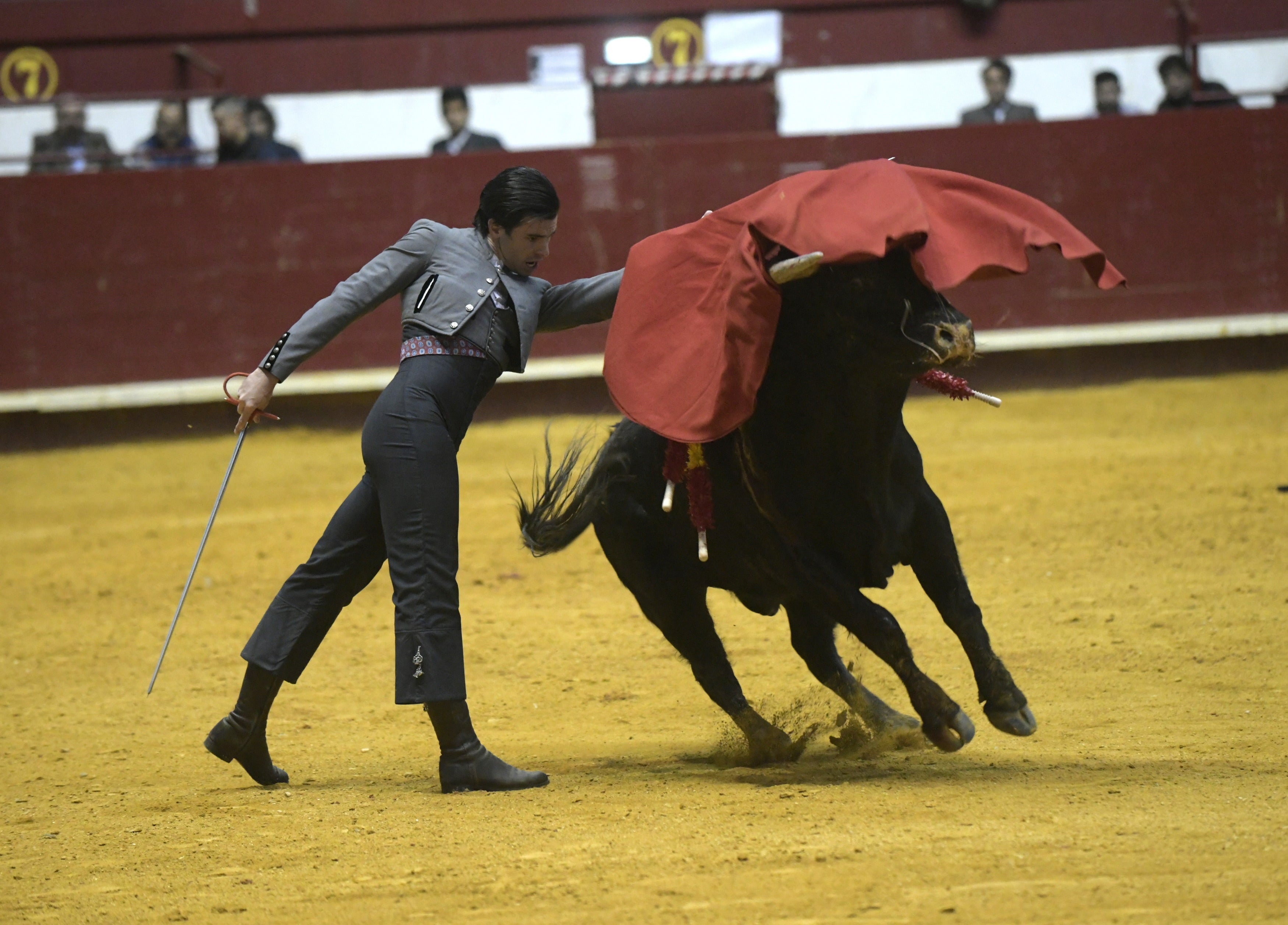 Fotos: La corrida de toros de Arroyo, en imágenes