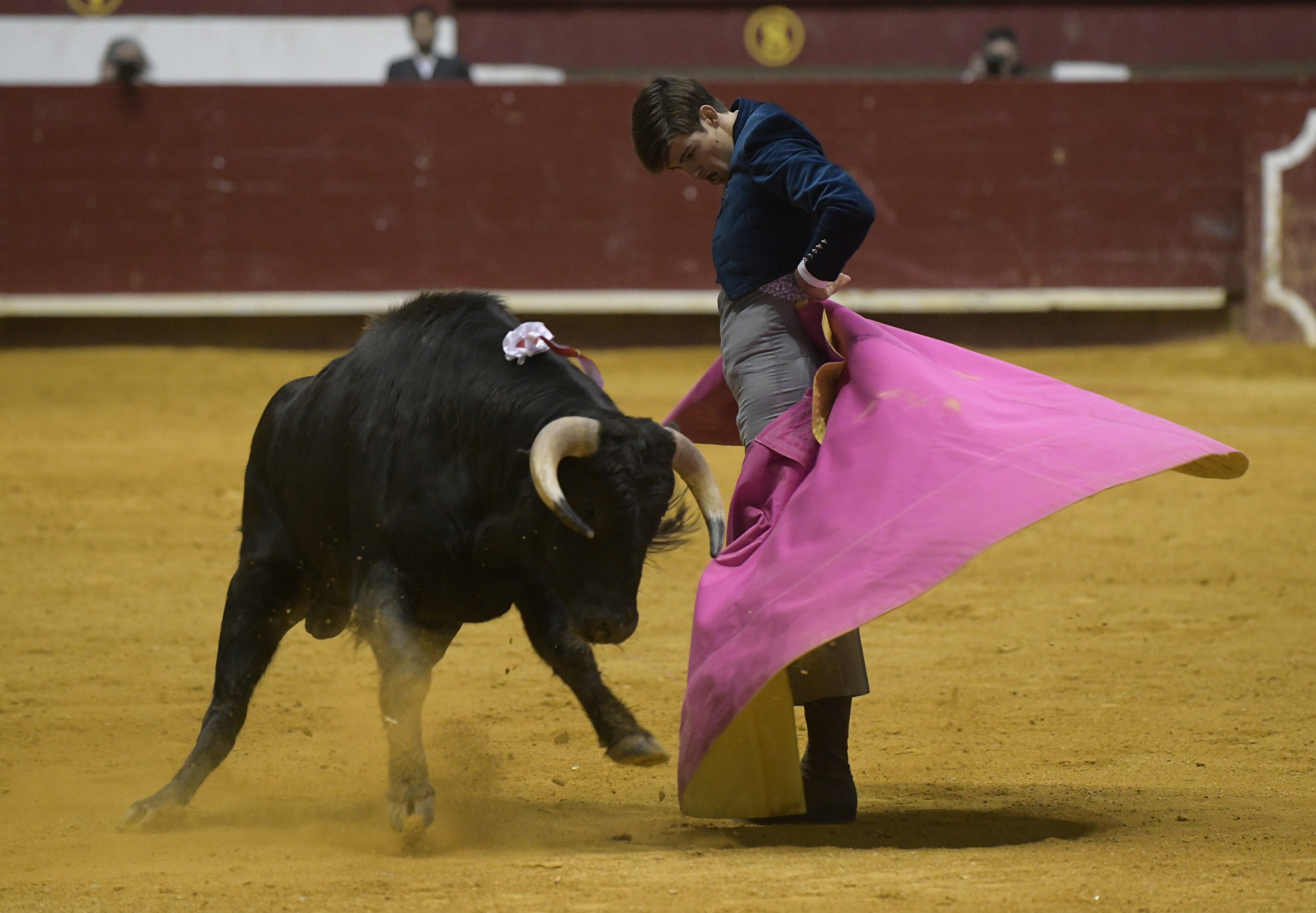 Fotos: La corrida de toros de Arroyo, en imágenes