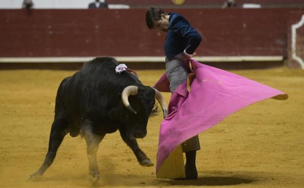 El Rafi comenzó a fraguar su triunfo con el capote ante Cerecillo, nombre del novillo indultado. 