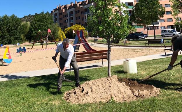 El alcalde de Arroyo, Sarbelio Fernández, pala en mano. 