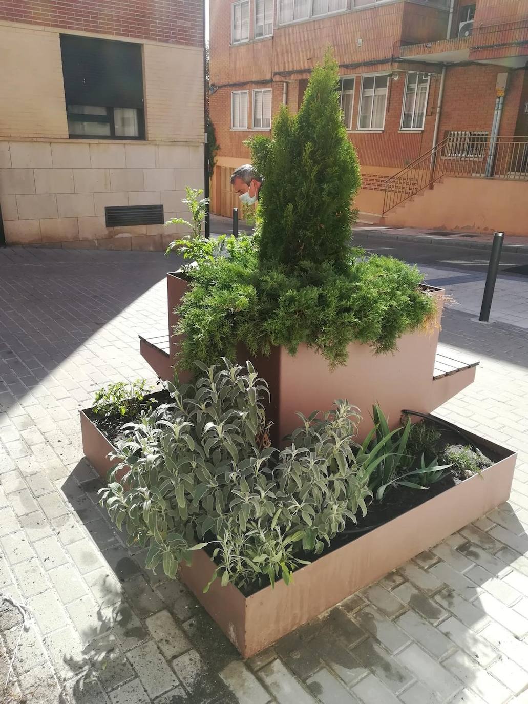 Los vecinos de este barrio de Arroyo cuentan con nuevas jardineras decorativas con bancos para el descanso a la siombra. 