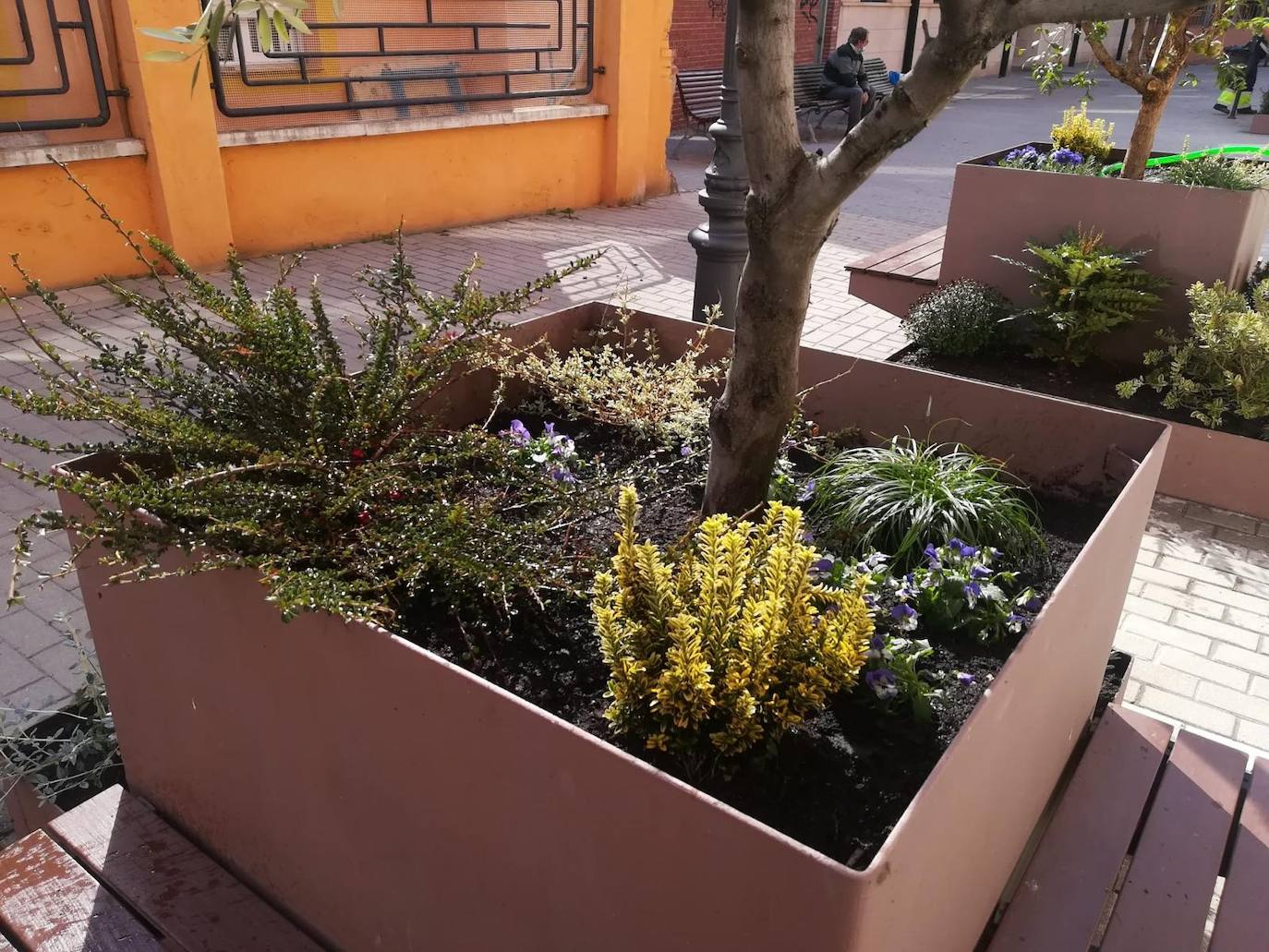 Los vecinos de este barrio de Arroyo cuentan con nuevas jardineras decorativas con bancos para el descanso a la siombra. 