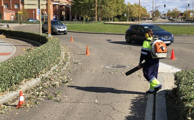 Limieza de los restos de poda del seto en la rotonda de Hipercor en la Avenida de Salamanca, en el acceso a La Flecha. 