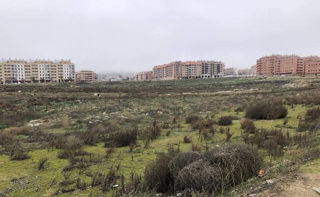 Parcela elegida para ceder y que se construya el cuartel de la Guardia Civil en Las Lomas de Sotoverde. 