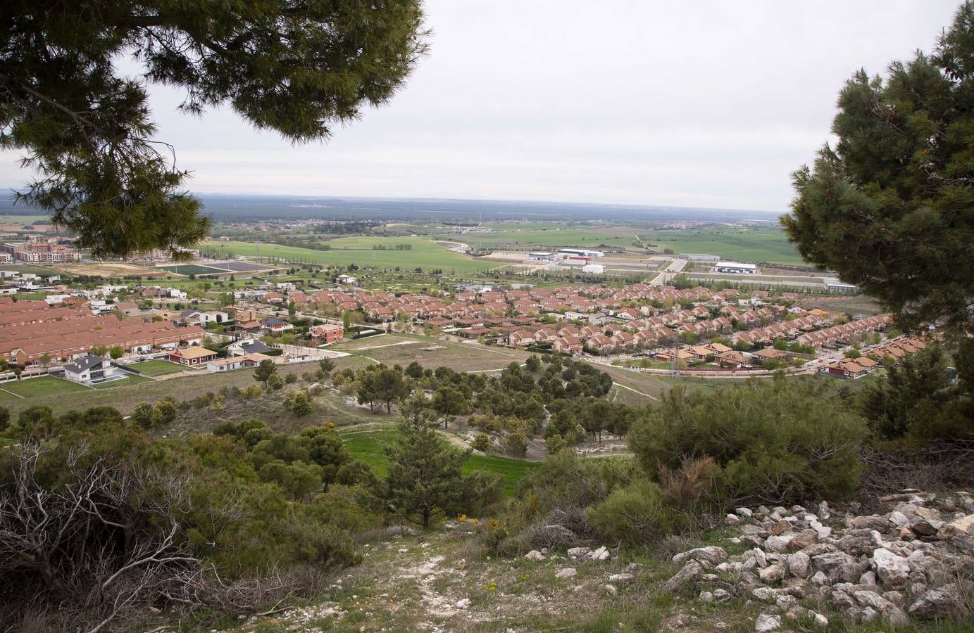 Fotos: Un paseo por Arroyo: urbanización Sotoverde