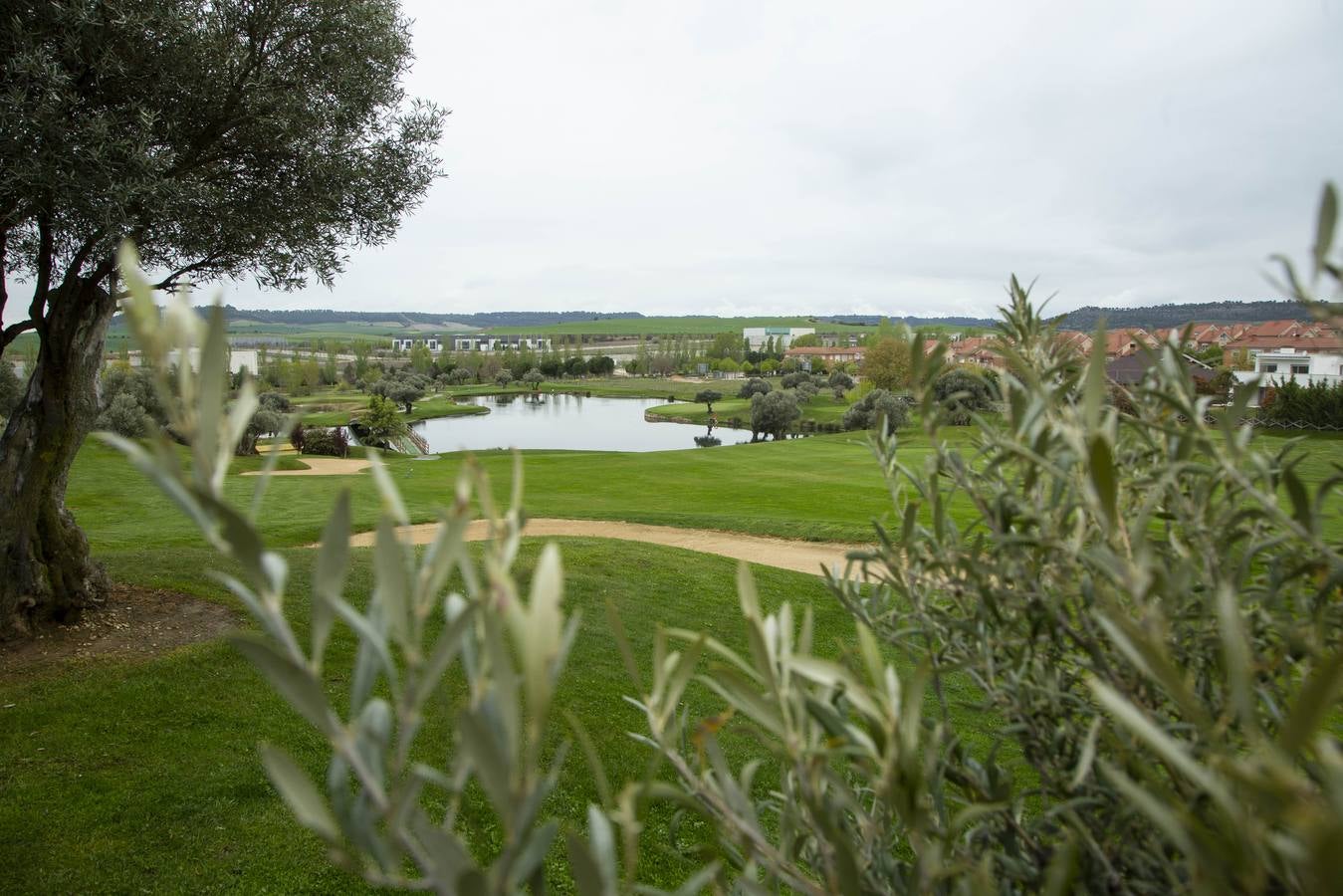 Fotos: Un paseo por Arroyo: urbanización Sotoverde