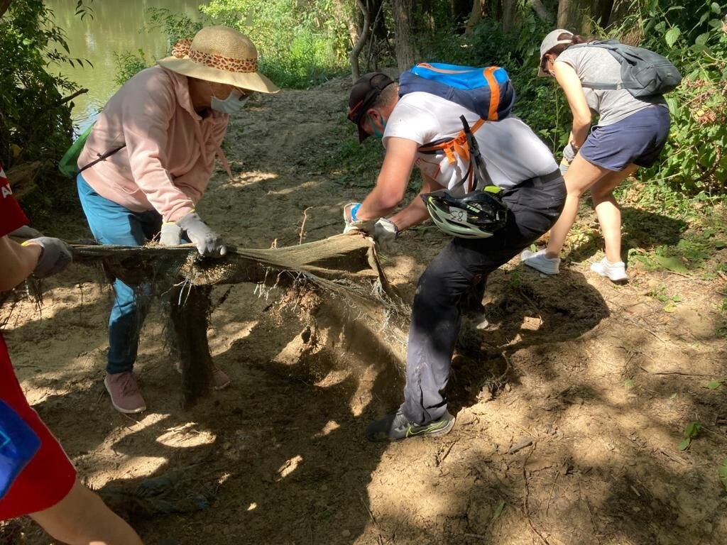 Voluntarios limpiando la zona de las playas fluviales del parque lúdico de la ribera del río Pisuerga a su paso por Arroyo de la Encomienda. 