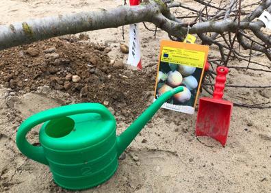 Imagen secundaria 1 - Los escolares de Arroyo siguen apostando por el medioambiente