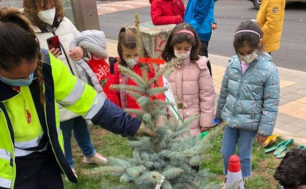 Imagen principal - Los alumnos plantando las diferentes especies de árboles