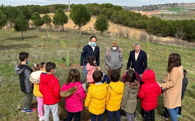 Imagen principal - Alumnos del Margarita Salas durante la plantación 
