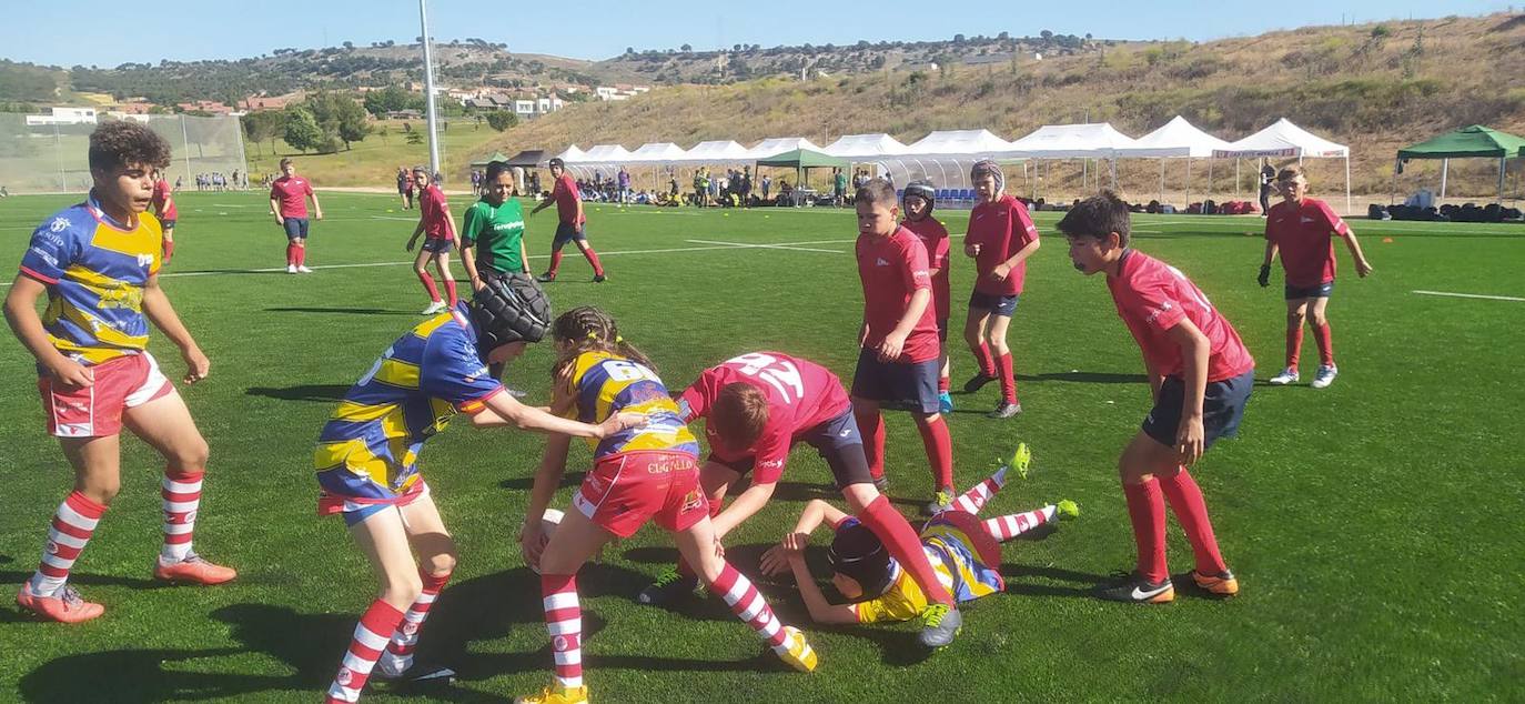 Partidos celebrados en los Nuevos Campos de Rugby y en Campos de La Vega 