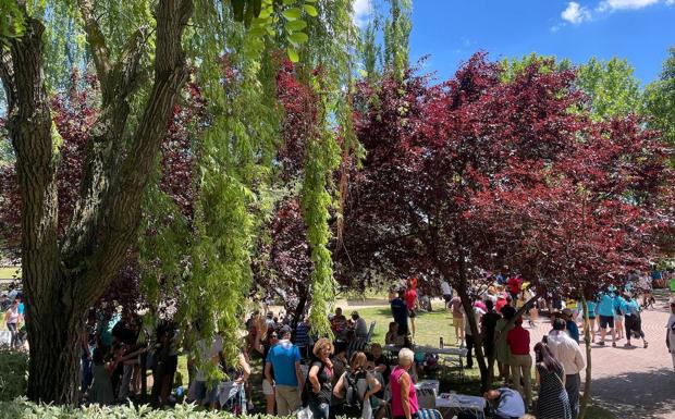 Imagen principal - La comida de fraternidad de la paella tuvo un excelente ambiente 