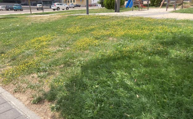 Detalle de uno de los parques de Arroyo de la Encomienda 