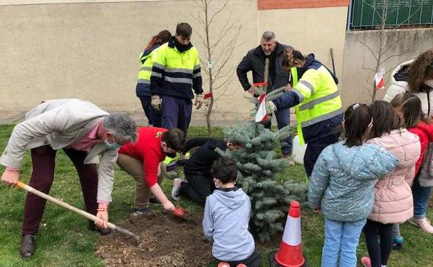 El alcalde, Sarbelio Fernández, ayuda a los escolares a plantar árboles en el 'Día del Árbol' 