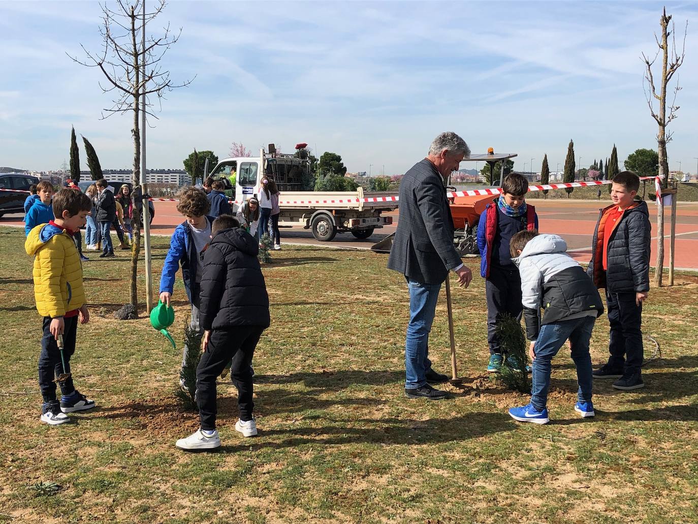 Plantación escolar de árboles