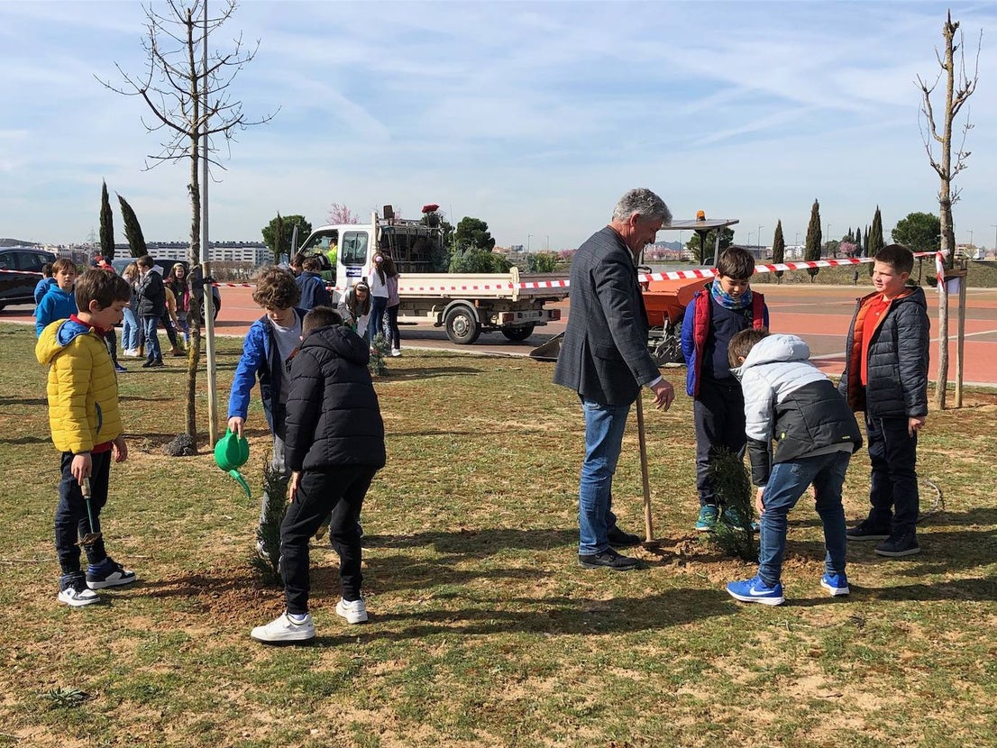 Plantación escolar de árboles