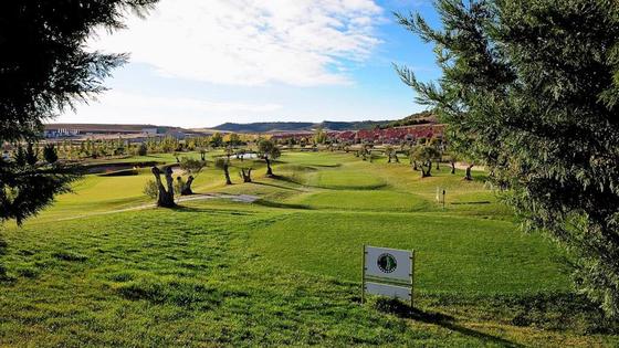 Sotoverde acoge el XXV Torneo de Golf Villa de Arroyo