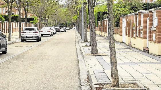 Arroyo arranca el 19 de junio el arreglo de calles en el municipio