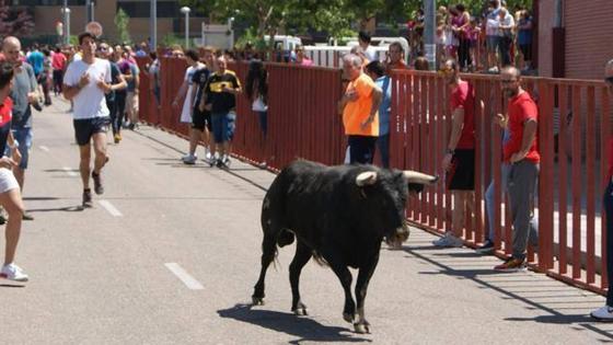 Programa de fiestas de San Antonio de Padua de La Flecha 2023