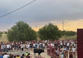 Encierro urbano de las fiestas de San Antonio 2021