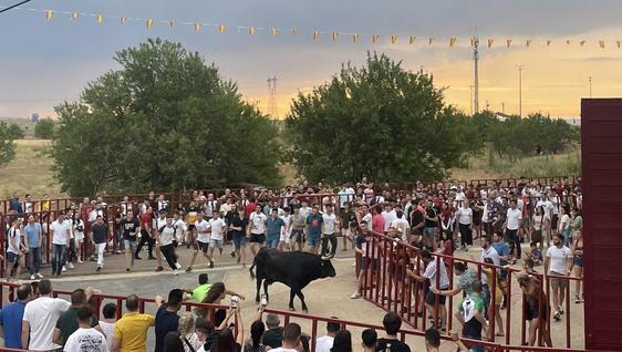 Los toros, el plato fuerte de San Antonio