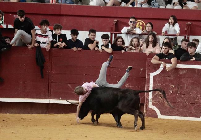 El astado da un revolcón en la plaza de toros.