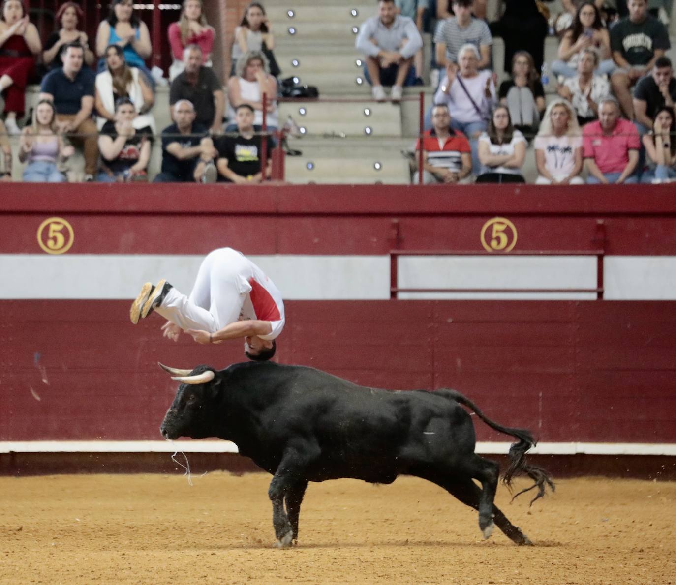 Los mejores cortadores, quebradores y saltadores se citan en Arroyo