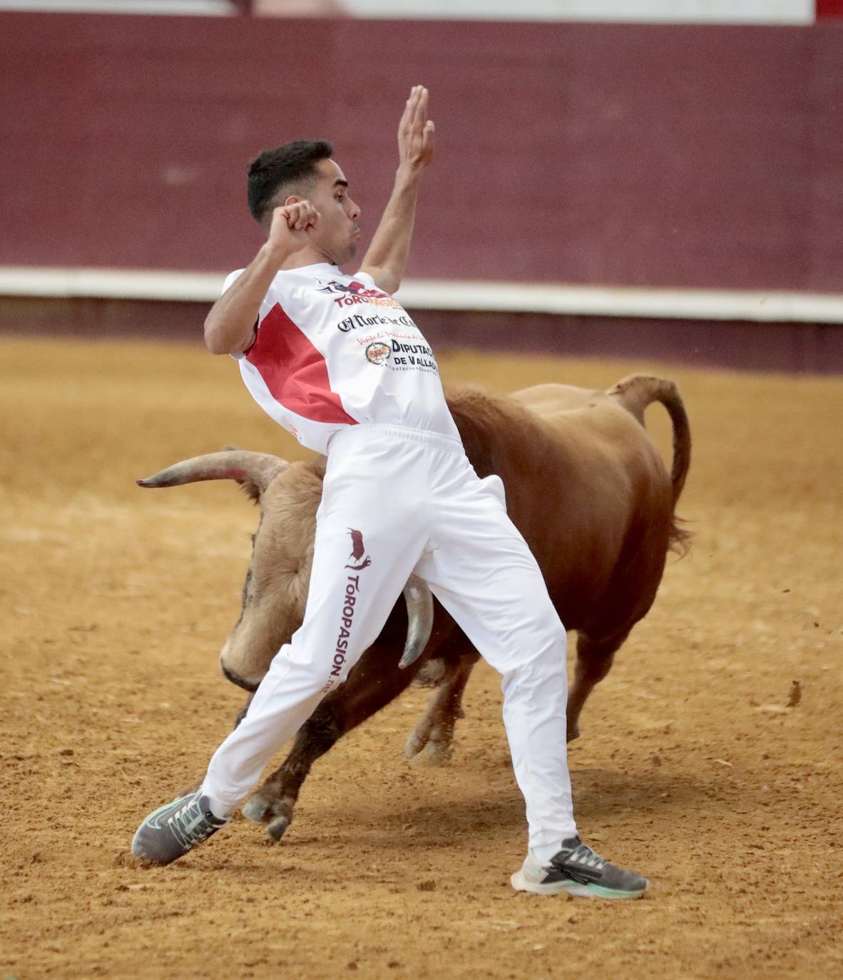 Los mejores cortadores, quebradores y saltadores se citan en Arroyo