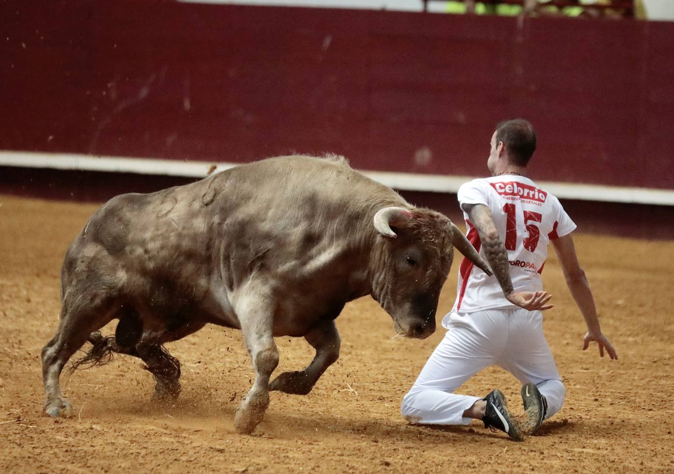 Los mejores cortadores, quebradores y saltadores se citan en Arroyo