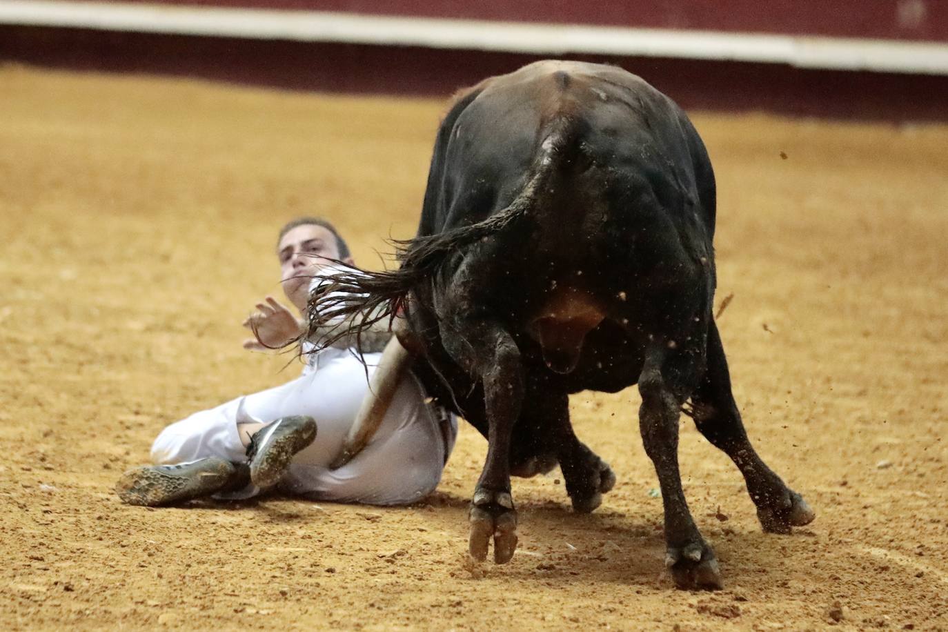 Los mejores cortadores, quebradores y saltadores se citan en Arroyo