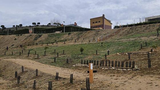 El Ayuntamiento actúa contra la erosión en el parque Estela Domínguez