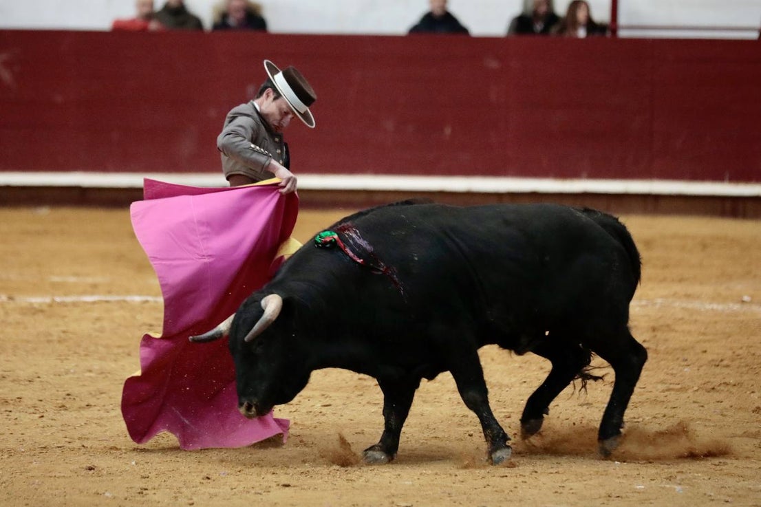 Festival taurino y solidario en La Flecha
