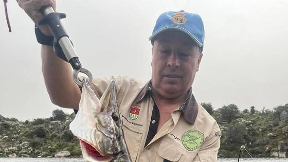 Angel Magro gana el concurso de lucios en La Almendra