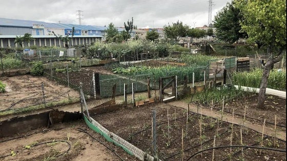El Pleno arroyano aprueba la ordenanza reguladora de huertos urbanos