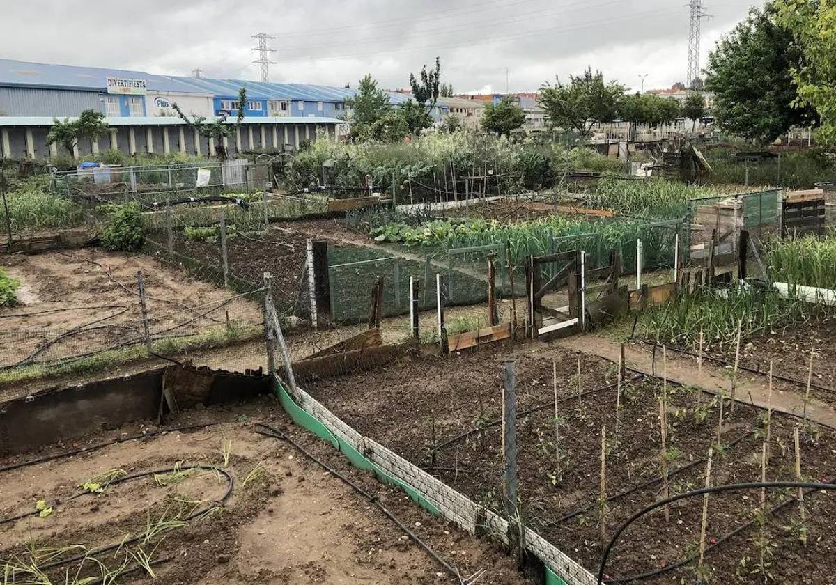 El Pleno arroyano aprueba la ordenanza reguladora de huertos urbanos